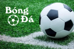 Quy Định Mới Nhất Về Bóng Trong Cuộc Và Bóng Ngoài Cuộc