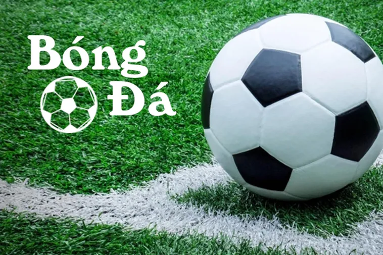 Quy Định Mới Nhất Về Bóng Trong Cuộc Và Bóng Ngoài Cuộc