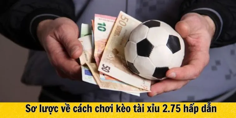 Phân Tích Kèo 2.75 Tại 7M Trong Các Trận Cầu Nhiều Bàn Thắng