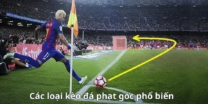 Bí Quyết Soi Kèo Phạt Góc Bóng Đá Tại 7M Để Thu Lợi Nhuận Khủng