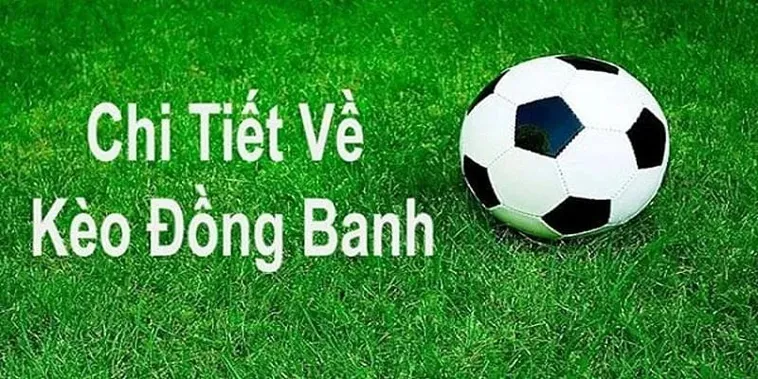Hướng Dẫn Cách Bắt Kèo Đồng Banh Tại 7M Hiệu Quả Và Bí Quyết Thắng Lớn