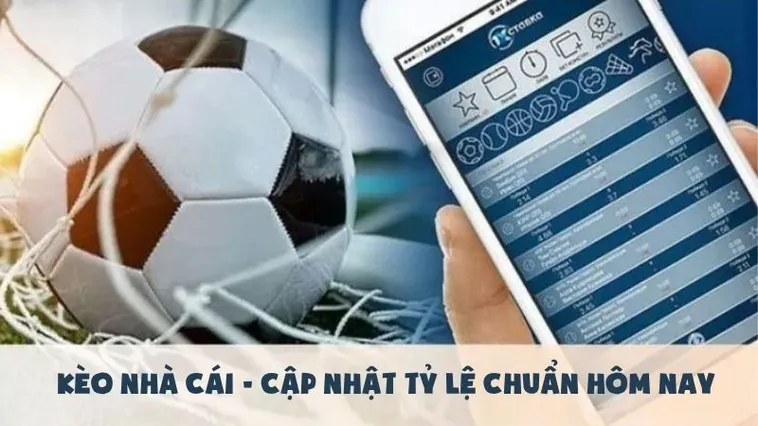 Kinh Nghiệm Chơi Kèo Tài Xỉu Hiệp 2 Tại 7M Hiệu Quả Nhất