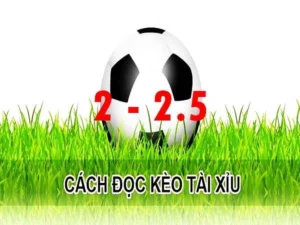 Cách Chinh Phục Kèo 2.25 Tại 7M Và Bí Quyết Tính Tiền Chuẩn Xác