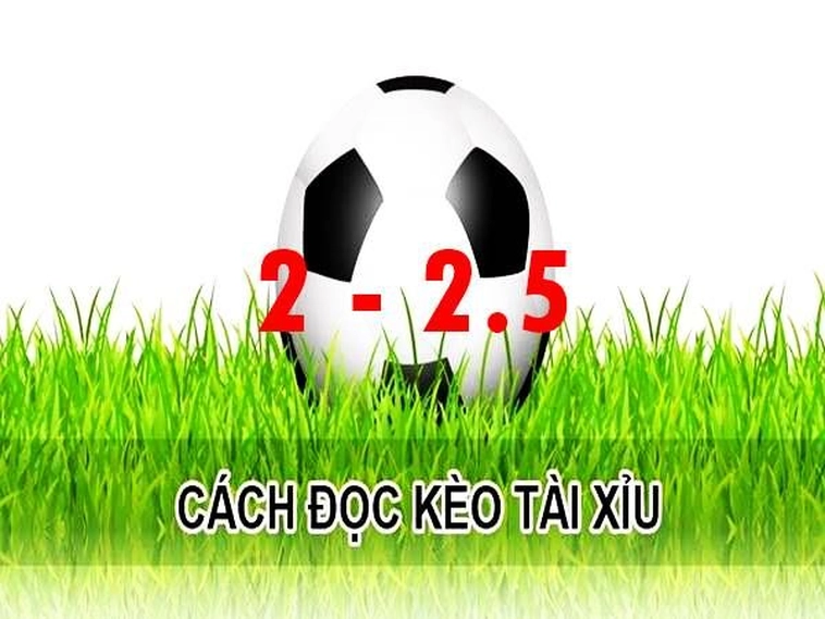 Cách Chinh Phục Kèo 2.25 Tại 7M Và Bí Quyết Tính Tiền Chuẩn Xác