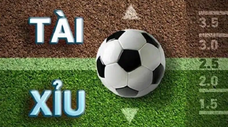 Cách Chinh Phục Kèo 2.25 Tại 7M Và Bí Quyết Tính Tiền Chuẩn Xác