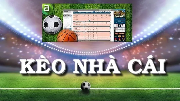 Hướng Dẫn Cách Xem Kèo Bóng Đá Trực Tuyến Chính Xác Cho Người Mới