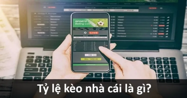 Hướng Dẫn Cách Xem Kèo Bóng Đá Trực Tuyến Chính Xác Cho Người Mới