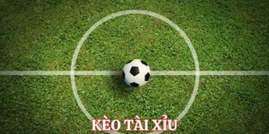 Nghệ Thuật Đọc Kèo Tài Xỉu Bóng Đá Tại 7M Để Luôn Giành Lợi Thế