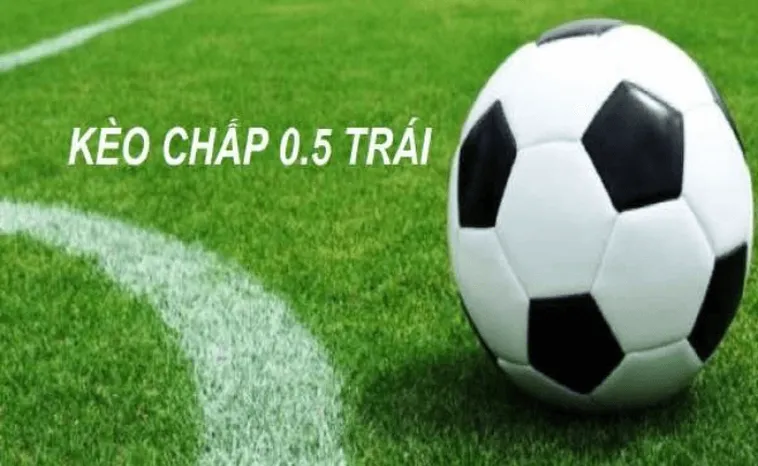 Hướng Dẫn Xem Kèo Chấp 0.5 Tại 7M Một Cách Chuyên Nghiệp Nhất