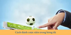 Cách Tính Kèo Xiên Trong Bóng Đá Tại 7M Hiệu Quả Nhất